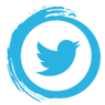 twitter icon